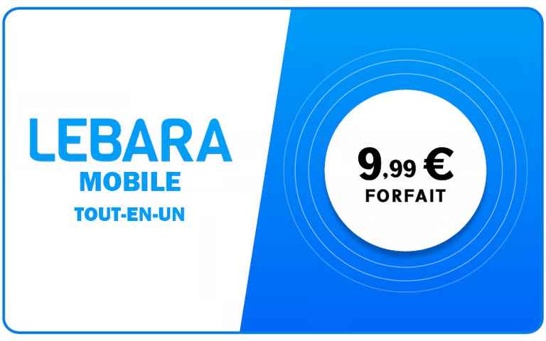 Lebara Tout en Un 10 €