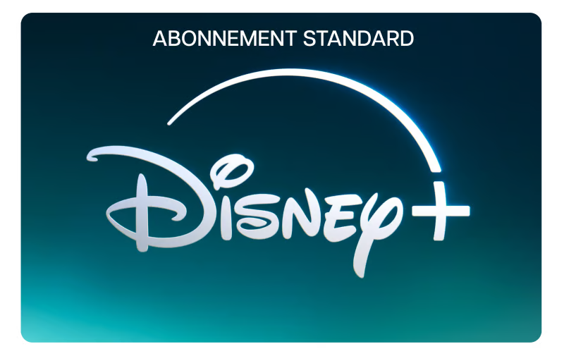 Disney+ Standard 12 mois