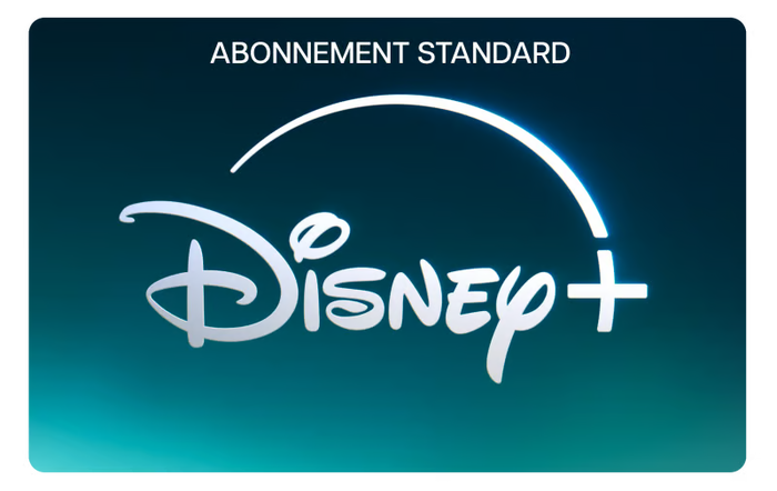 Disney+ Standard 12 mois