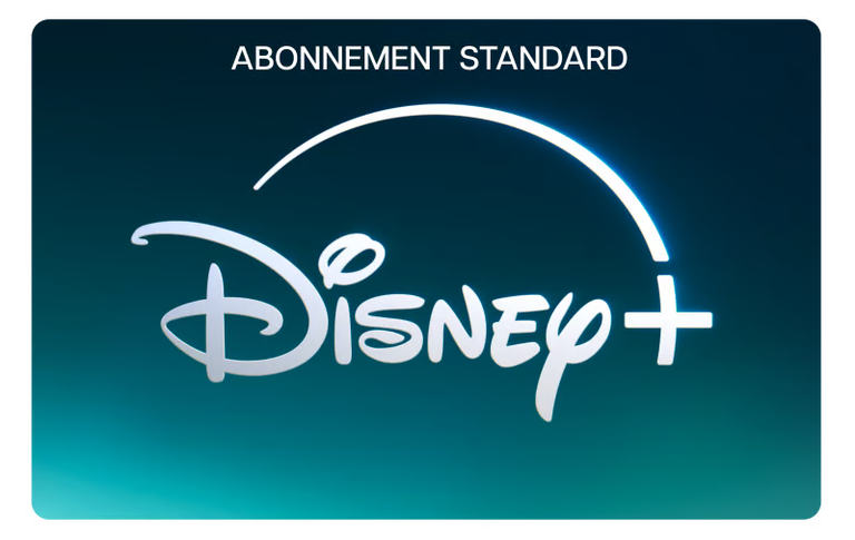 Disney+ Standard 12 mois